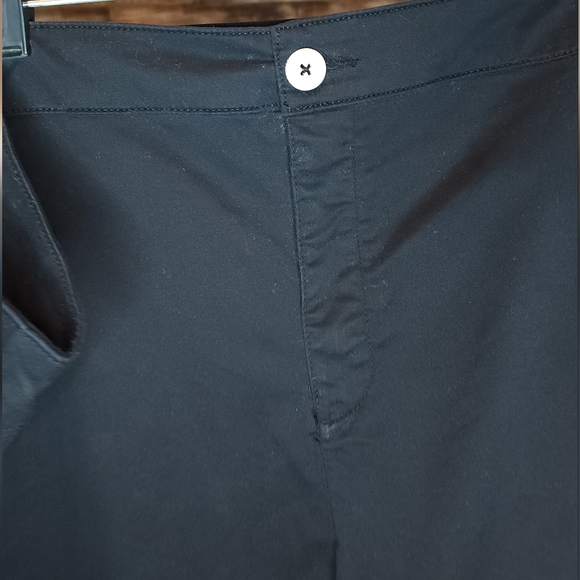 🌟 3 for $15 Deal! 🌟Lane Bryant black shorts 28 - Picture 3 of 4